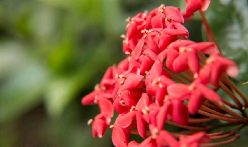 攝影新手怎樣快速提升自己的構圖水平